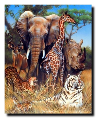 Zoo Exotic Collage (Giraffe, Rhino, Elephant And Tiger) African Safari Animal Art Print Poster (16x20)
