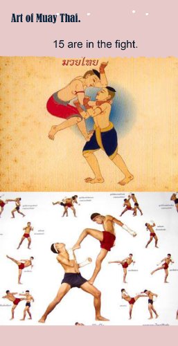 15 Muay Thai boxing  art