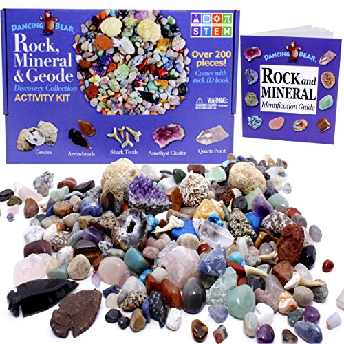 Book Cover Dancing Bear Rock & Mineral Collection Activity Kit (200+Pcs) with Geodes, Shark Teeth Fossils, Arrowheads, Crystals, Gemstones for Kids, Rock Book, Treasure Hunt ID Sheet, STEM Science Education