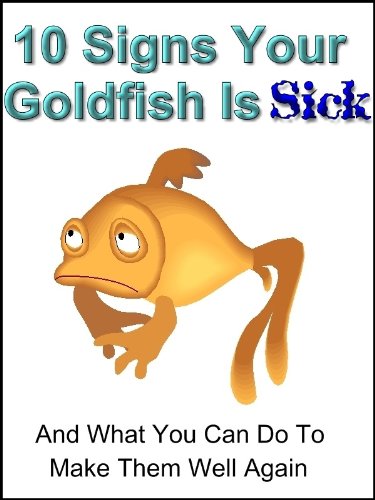 10 Signs Your Goldfish Is Sick