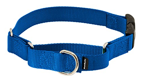 PetSafe Martingale Collar with Quick Snap Buckle, 1" Medium, Royal Blue