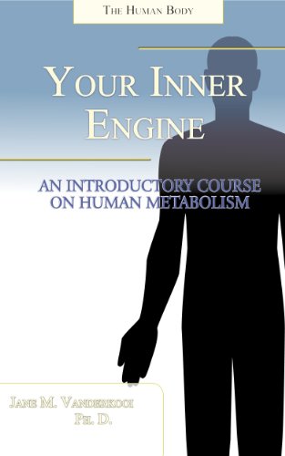Your Inner Engine: An Introductory Course on Human Metabolism