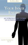 Your Inner Engine: An Introductory Course on Human Metabolism