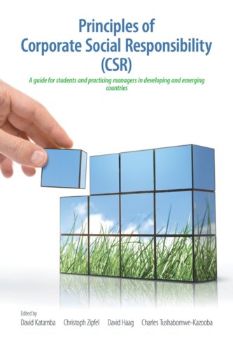 Principles of Corporate Social Responsibility (CSR) : A companion for students and practicing managers in developing and emerging markets