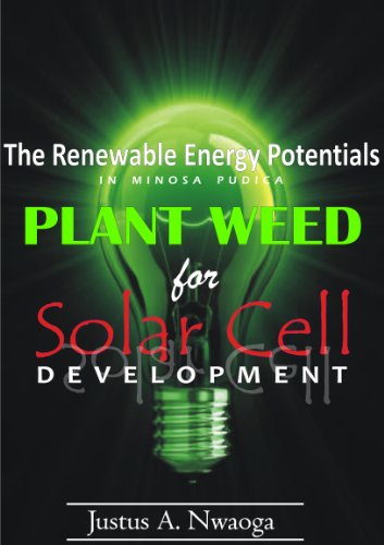 Discover the Renewable Energy Potentials in Mimosa pudica Plant Weed for Solar Cell Development
