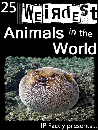 25 Weirdest Animals in the World! Amazing facts, photos and video links to the strangest creatures on the planet. (25 Amazing Animals Series Book 1)