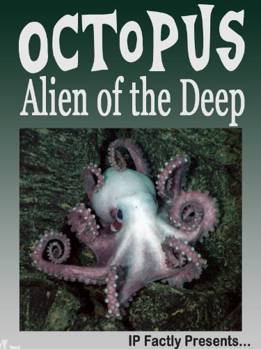 Octopus - Alien of the Deep! Incredible Facts, Photos and Video Links to Possibly the Oddest Creature on the Planet. (Amazing Animals Series Book 2)