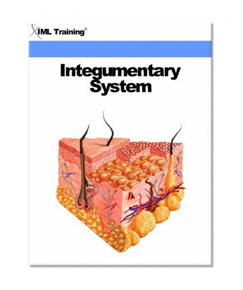 Integumentary System (Human Body)