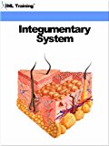Integumentary System (Human Body)