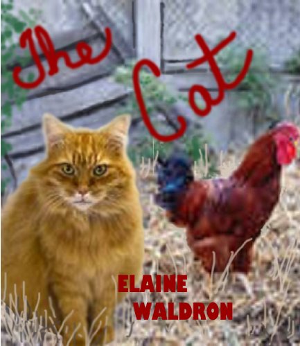 The Cat