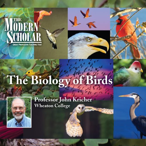 The Modern Scholar: The Biology of Birds