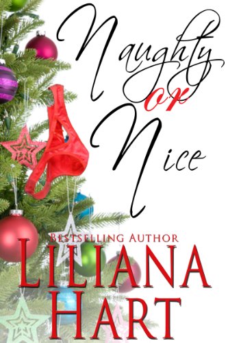 Naughty or Nice (Erotic Romance)