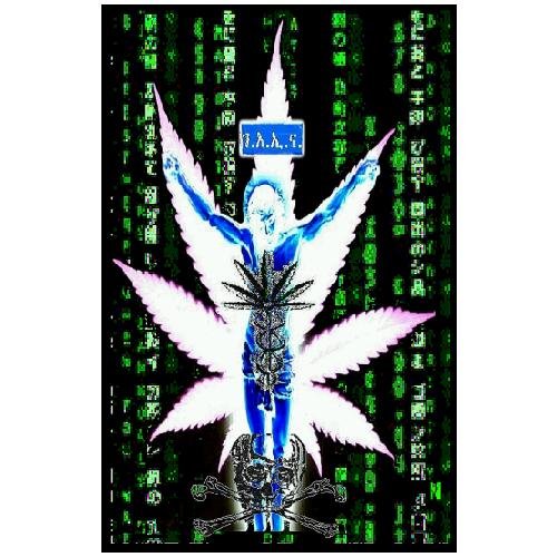 THE CANNABIS MATRIX (The Seshat Appendix) - A Trilogy of Selected Essays of Ioannes, the Composer