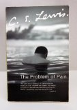 The Problem of Pain