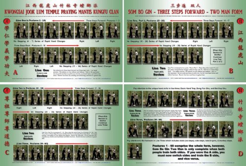 Som Bo Gin Two Man Form - Wall Chart (4 Poster Set) Southern Praying Mantis