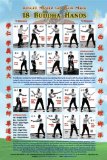 18 Buddha Hands - Wall Chart - Master Gin Foon Mark Southern Praying Mantis