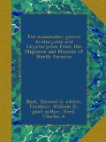 The mammalian genera Arctoryctes and Cryptoryctes from the Oligocene and Miocene of North America