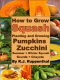 How to Grow Squash: Planting and Growing Pumpkins, Zucchini, Summer and Winter Squash, Gourds, and Chayote
