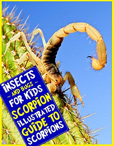 Scorpion: An Illustrated Guide to Scorpions for Readers Aged 9 and Up (Insects and Bugs for Kids)