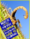 Scorpion: An Illustrated Guide to Scorpions for Readers Aged 9 and Up (Insects and Bugs for Kids)