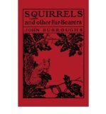 [ [ [ Squirrels and Other Fur-Bearers [ SQUIRRELS AND OTHER FUR-BEARERS BY Burroughs, John ( Author ) Mar-03-2006[ SQUIRRELS AND OTHER FUR-BEARERS [ SQUIRRELS AND OTHER FUR-BEARERS BY BURROUGHS, JOHN ( AUTHOR ) MAR-03-2006 ] By Burroughs, John ( Author )M