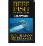 [ [ [ Reef Fish Identification Galapagos (Revised) [ REEF FISH IDENTIFICATION GALAPAGOS (REVISED) ] By Deloach, Ned ( Author )Oct-15-2003 Paperback