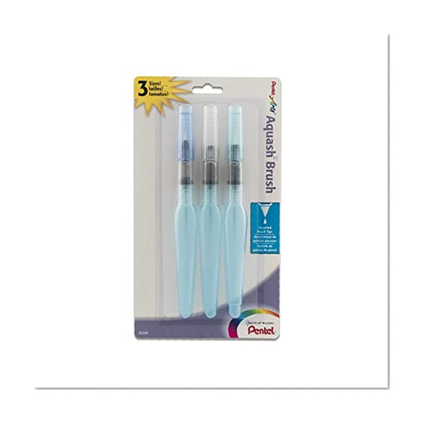 Pentel Arts Aquash Water Brush Assorted Tips, Pack of 3 (FRHBFMBP3)