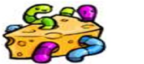 Who Put Worms in the Cheese:  A World Traveler's Survival Guide