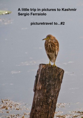 A little trip in pictures to Kashmir (picturetravel to ... Book 2)