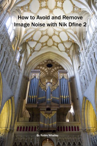 How to Avoid and Remove Image Noise with Nik Dfine 2 (The Lightweight Photographer Books)