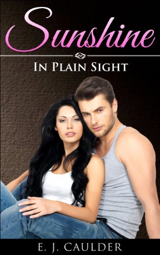 Sunshine: In Plain Sight (The Sunshine Affair Book 3)