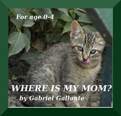 Where Is My Mom?