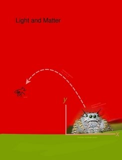 Light and Matter