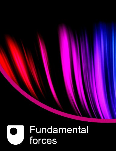 Fundamental forces
