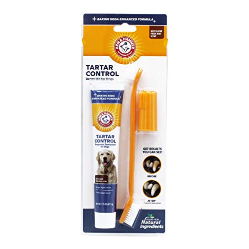 Arm & Hammer Dog Dental Care Tartar Control Kit for Dogs | Contains Toothpaste, Toothbrush & Fingerbrush | Reduces Plaque & Tartar Buildup | Safe for Puppies, 3Piece Kit, Beef Flavor