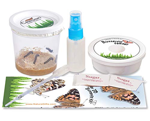 Book Cover Nature Gift Store 5 Live Caterpillars Shipped Now- Butterfly Kit Refill