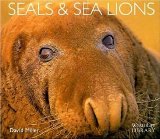 Seals and Sea Lions (Worldlife Library)