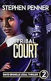 Tribal Court (David Brunelle Legal Thriller Series Book 2)
