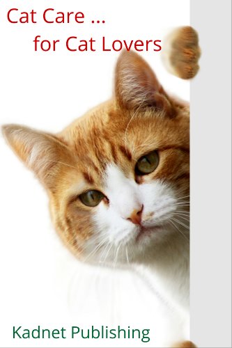 Cat Care for Cat Lovers