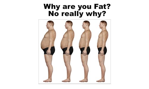 Why are you fat? No Really WHY?