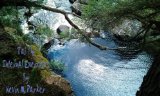 Tai Chi Internal Exercises for Tai Ji Quan Practitioners