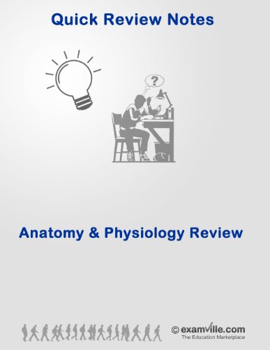 Physiology Quick Review: Renal System Review for College, Nursing and Medical Students