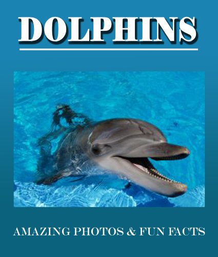 DOLPHINS: Amazing Photos & Fun Facts (Over 50+ Pictures of Dolphins)