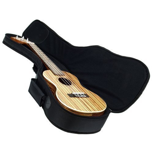 Book Cover Hola! Music Heavy Duty CONCERT Ukulele Gig Bag (up to 24 Inch) with 15mm Padding, Black
