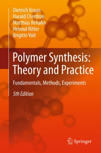 Polymer Synthesis: Theory and Practice: Fundamentals, Methods, Experiments