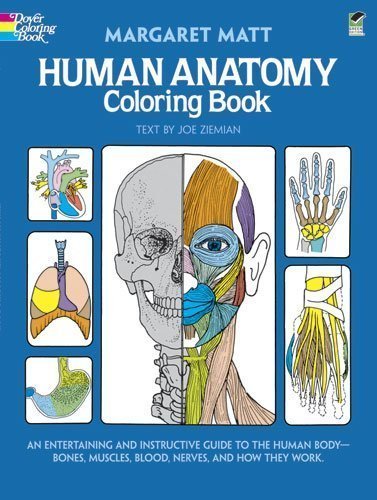 Human Anatomy Coloring Book (Dover Children's Science Books) (Edition 1) by Matt, Margaret, Ziemian, Joe [Paperback(1982Â£Â©]