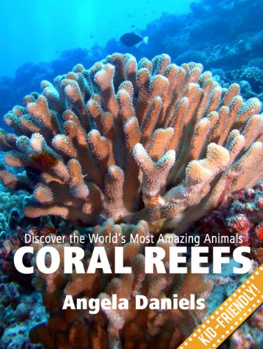 Coral Reefs - Beautiful Pictures and Fun Coral Reef Facts for Kids (Discover the World's Most Amazing Animals Series)