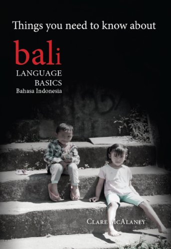 Things You Need To Know About Bali Language Basics Bahasa Indonesia