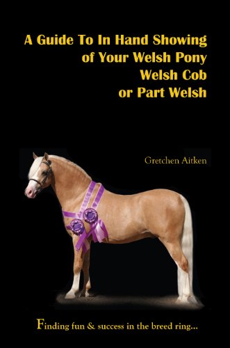 A Guide To In Hand Showing of Your Welsh Pony, Welsh Cob or Part Welsh