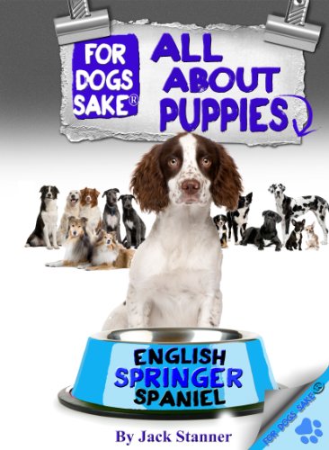 All About English Springer Spaniel Puppies